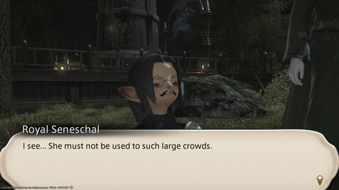 ffxiv_20240331_220008_899.png