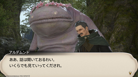 ffxiv_20240324_234626_997.png