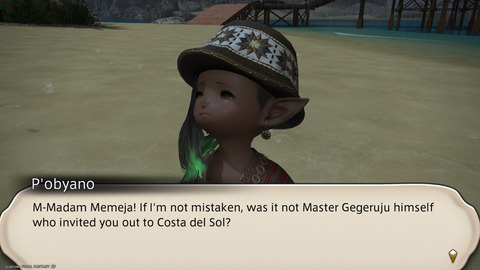 ffxiv_20240808_212419_557.png