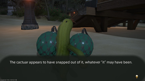 ffxiv_20240808_213349_171.png