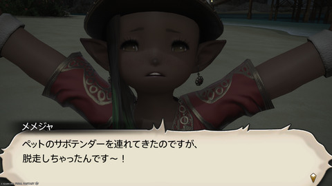 ffxiv_20240808_192835_575.png