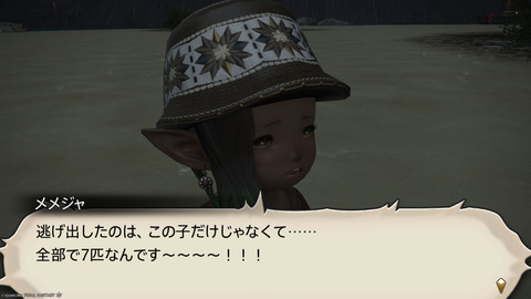 ffxiv_20240808_193148_141.png