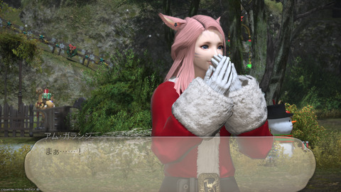 ffxiv_20241221_152214_842.png