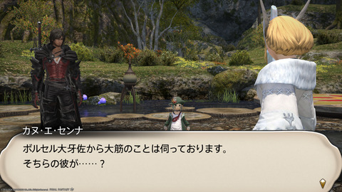 ffxiv_20240409_230929_062.png