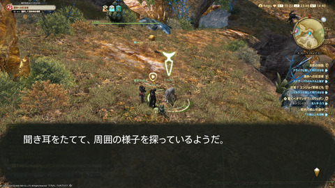 ffxiv_20240409_234036_587.png