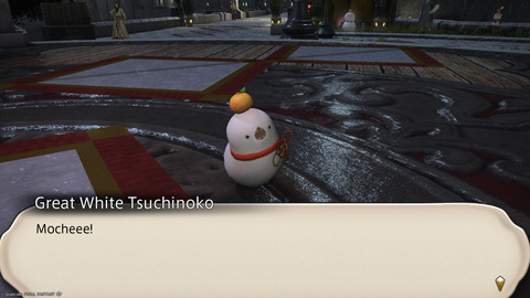 ffxiv_20250106_185738_373.png