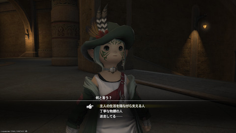 ffxiv_20250309_193614_622.png