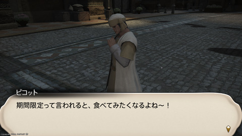 ffxiv_20250309_194216_070.png