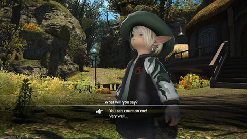 ffxiv_20250208_210108_771.png