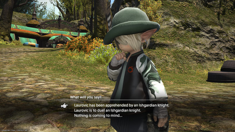 ffxiv_20250208_210810_820.png