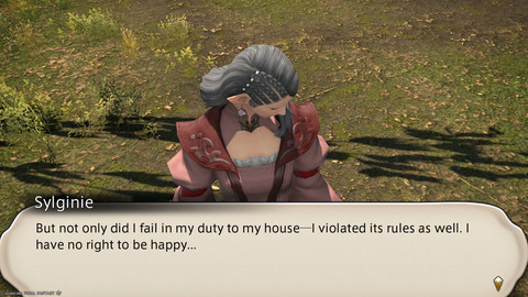 ffxiv_20250208_211229_202.png