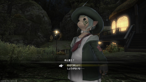 ffxiv_20250206_225623_432.png
