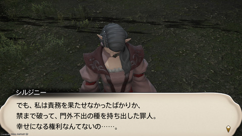 ffxiv_20250206_230624_414.png