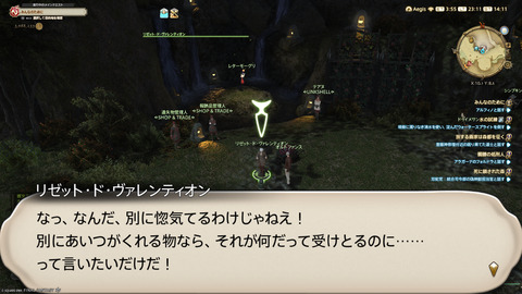 ffxiv_20250206_231127_962.png